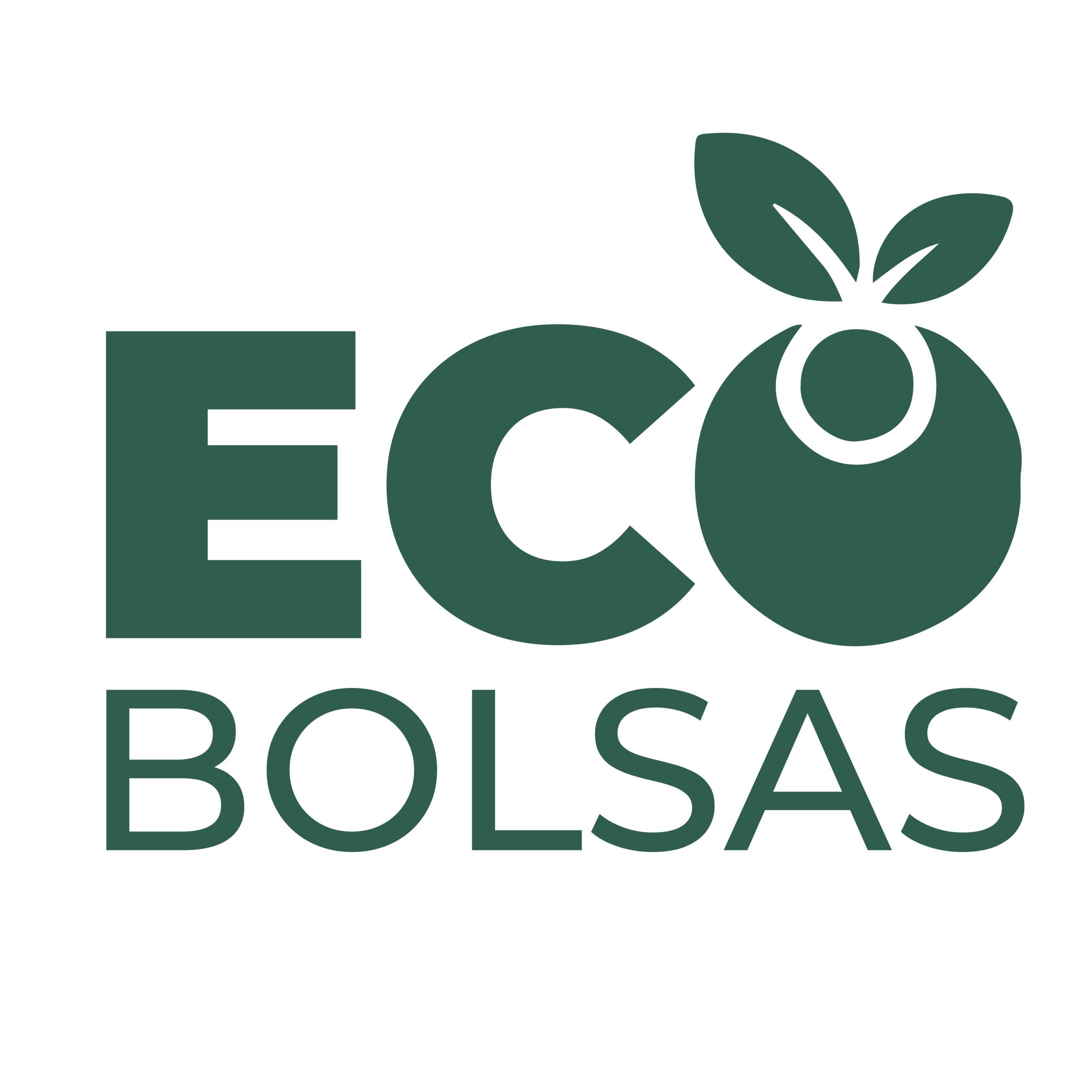 ecobolsasmayoreo.mx